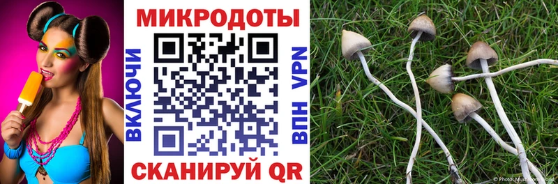 Галлюциногенные грибы MAGIC MUSHROOMS ОМГ ОМГ ТОР Луза